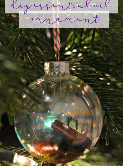Create your own DIY Essential Oil Ornaments!! Check out these simple tutorial that will make your home smell like Christmas!